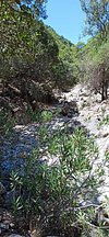 kritsa gorge 005