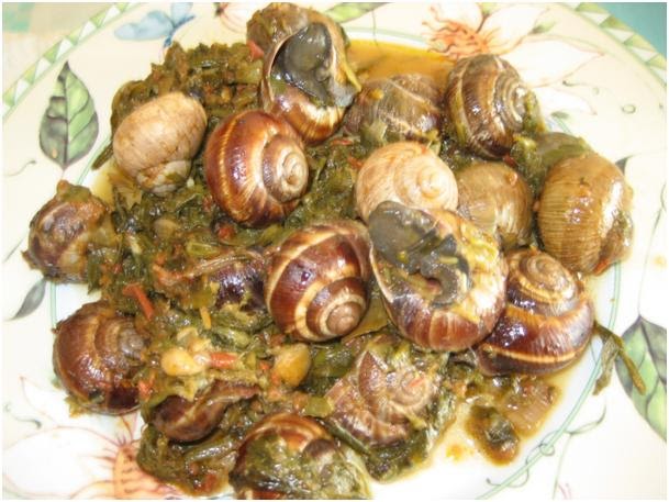 snails-salingaria