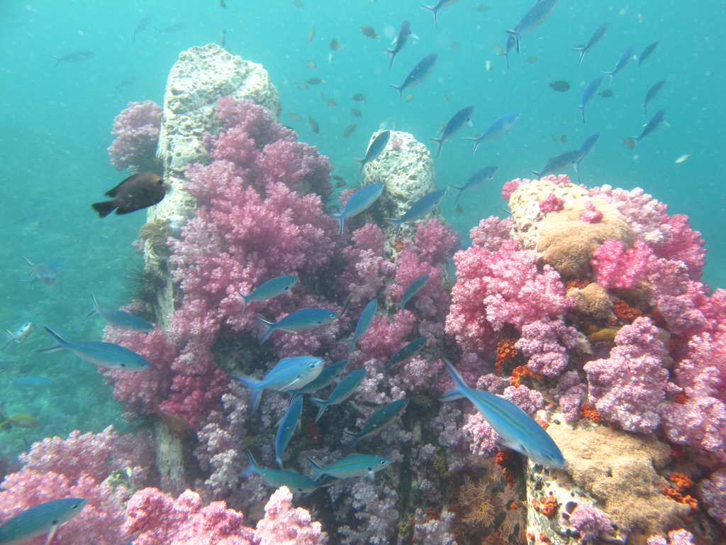 Diving Park in Stalis